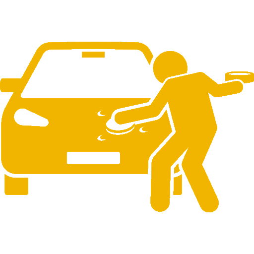 ikona